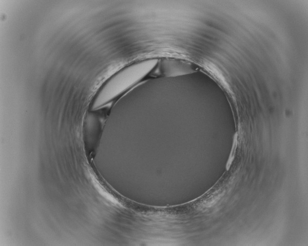 X0000088470389200706121535