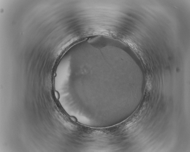 X0000088470390200706121534