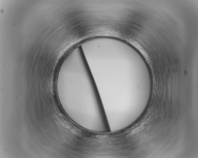 X0000088470391200706121534