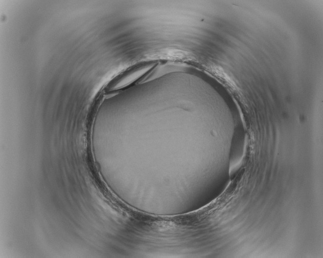 X0000088470392200706121534