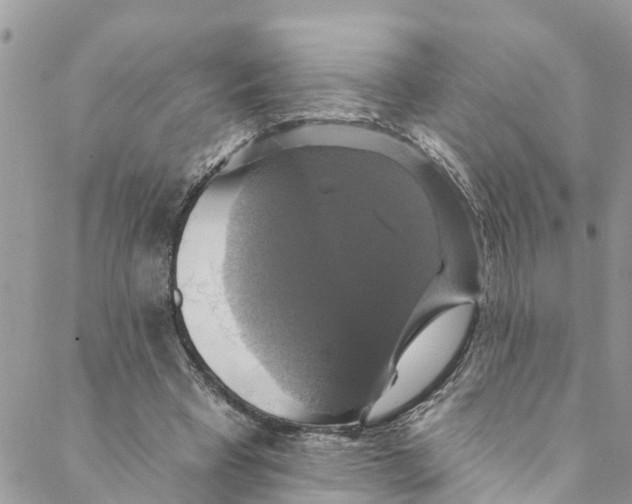 X0000088470393200706121534