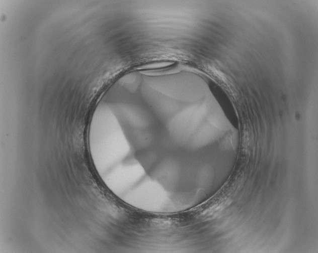 X0000088470394200706121534