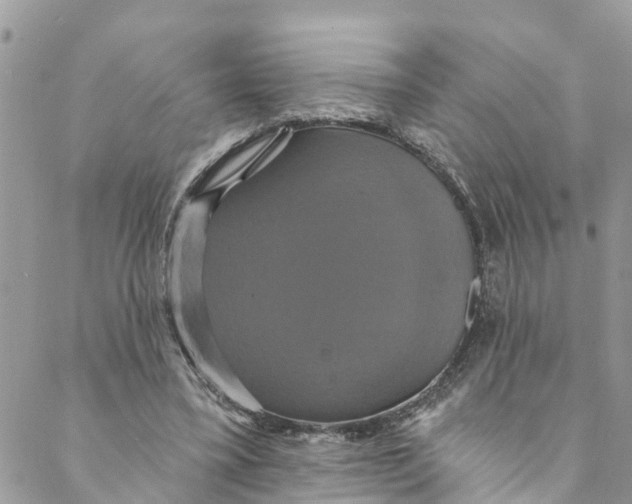 X0000088470395200706121534