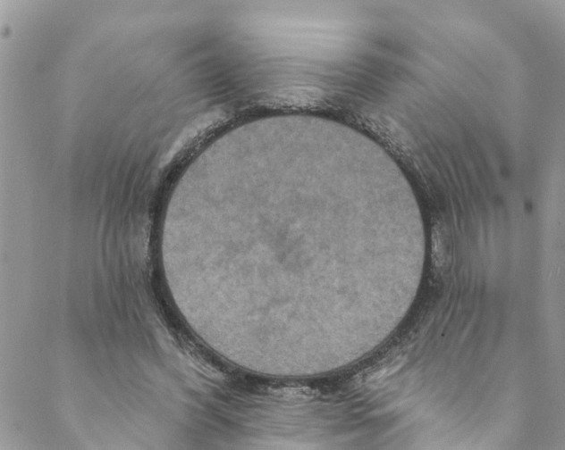 X0000088470396200706121534