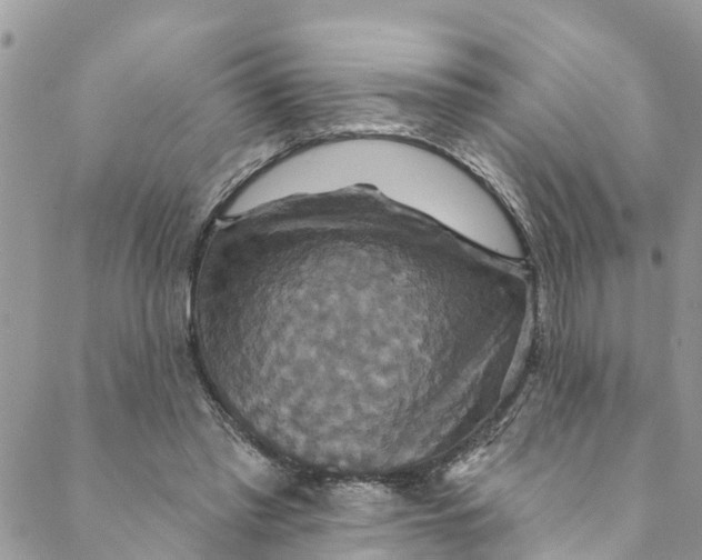 X0000088470397200706121534