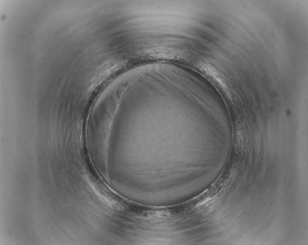 X0000088470398200706121534