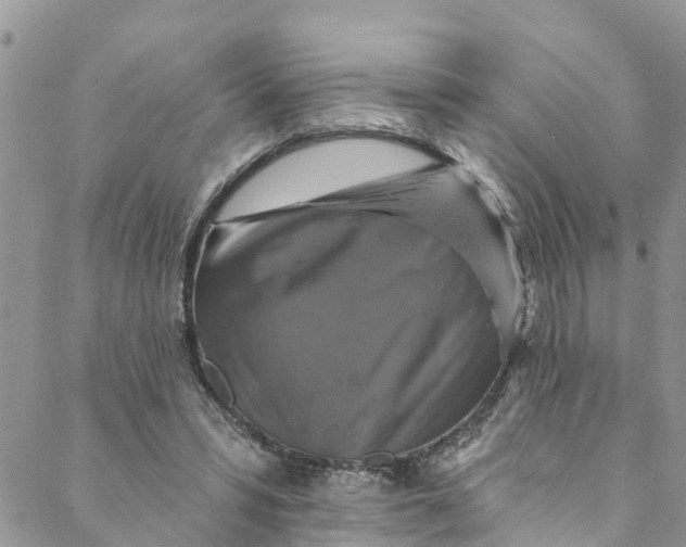 X0000088470399200706121534