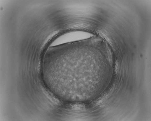 X0000088470400200706121534