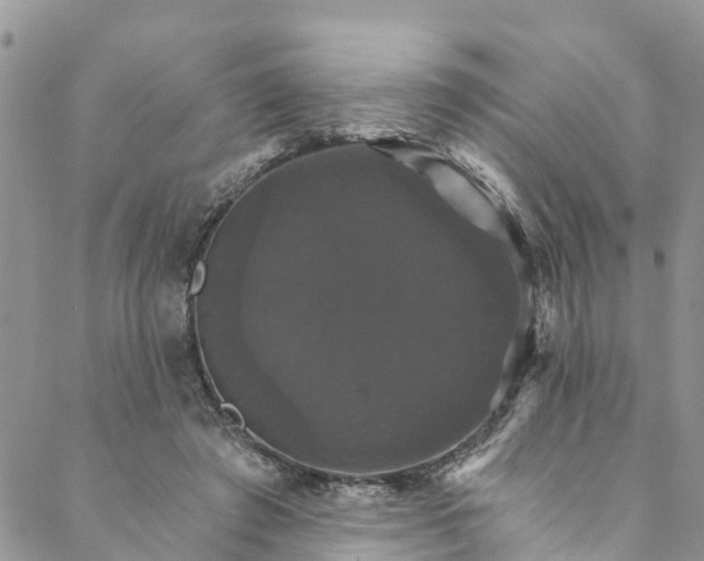 X0000088470401200706121534