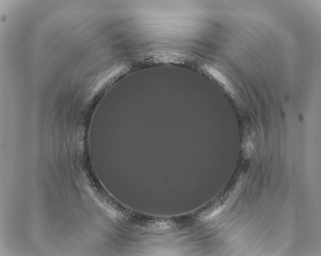 X0000088470402200706121534