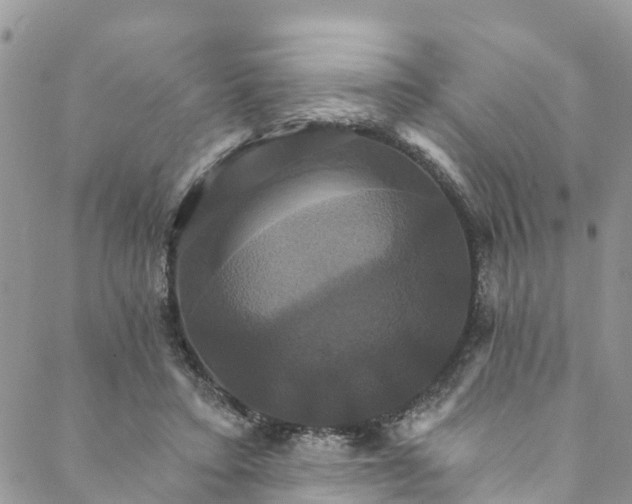 X0000088470403200706121534