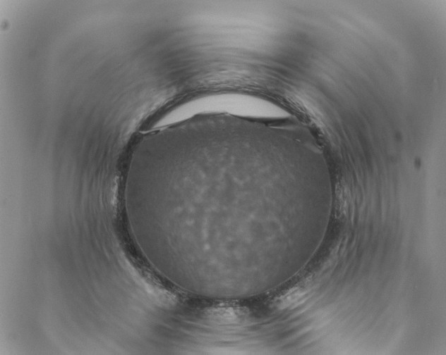 X0000088470404200706121534