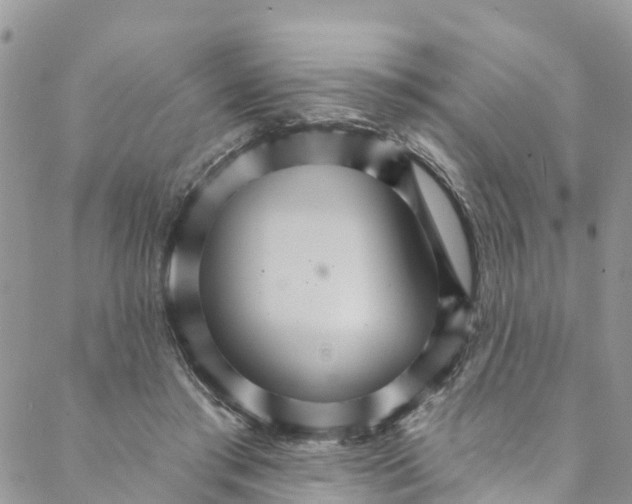 X0000088470405200706121534