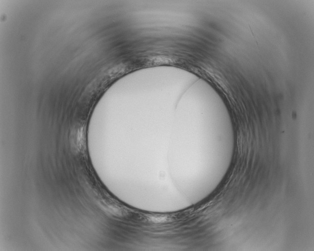 X0000088470406200706121534