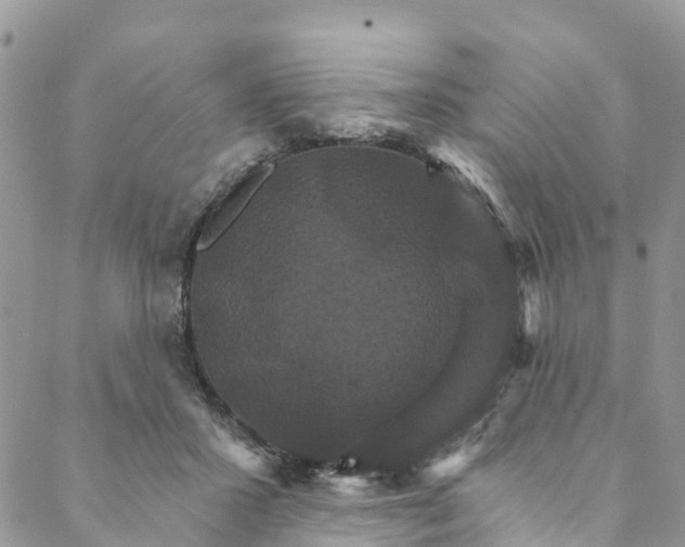 X0000088470407200706121534