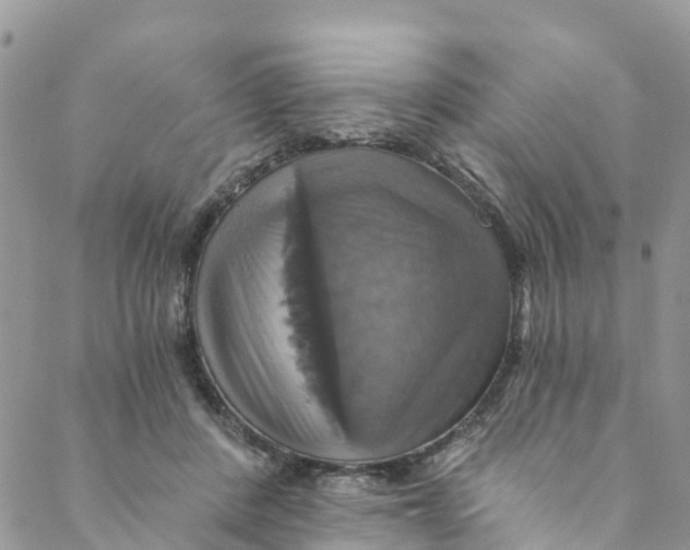 X0000088470408200706121534