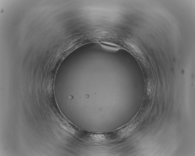 X0000088470409200706121534