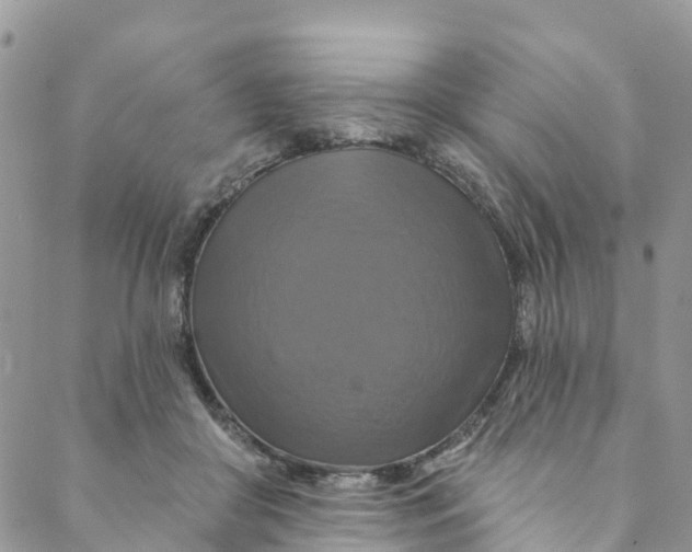 X0000088470410200706121534