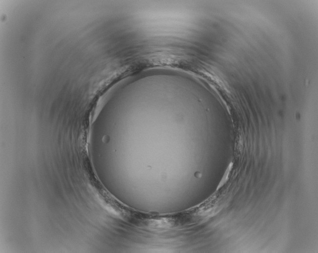 X0000088470411200706121534