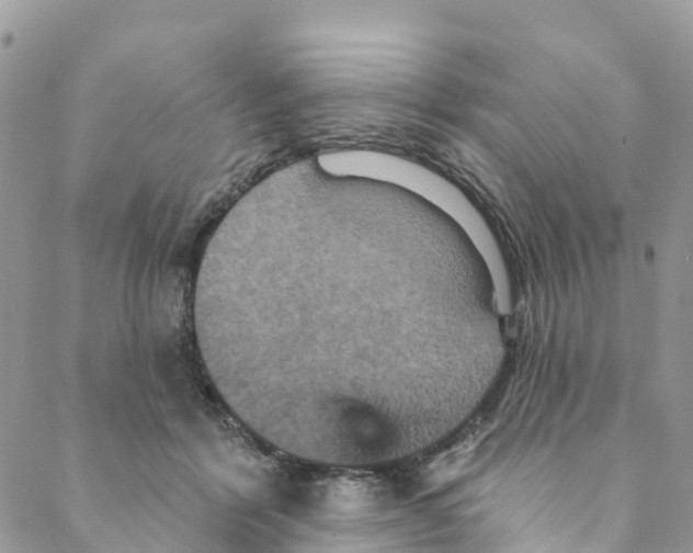 X0000088470412200706121534