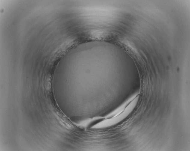 X0000088470413200706121534