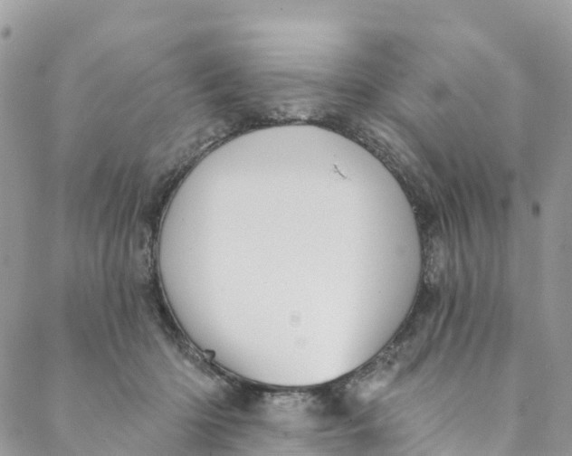 X0000088470414200706121534