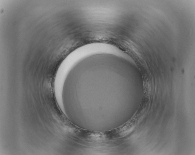 X0000088470415200706121534