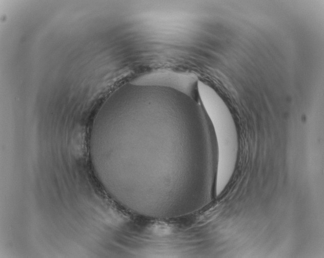 X0000088470416200706121534