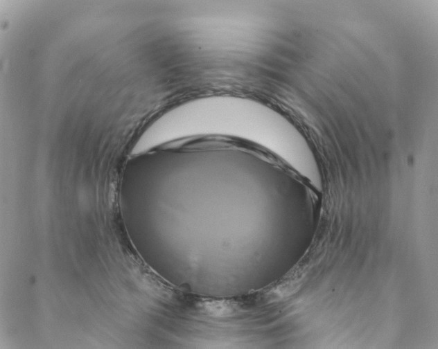 X0000088470417200706121534