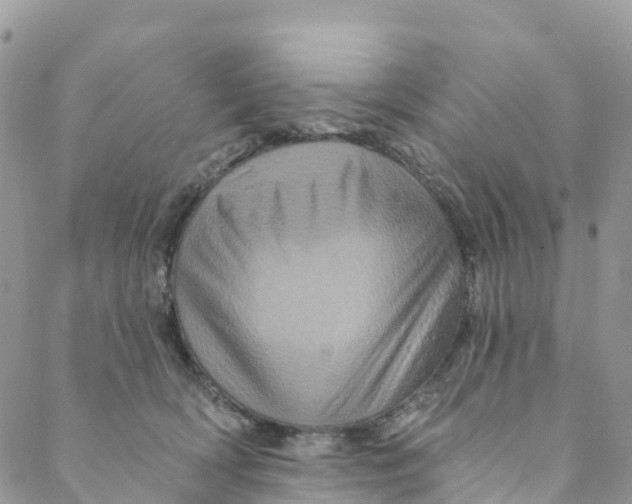 X0000088470418200706121534