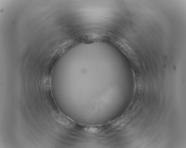 X0000088470419200706121534