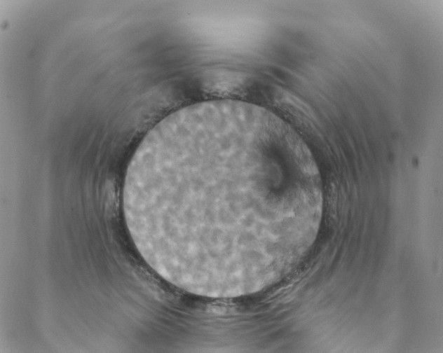 X0000088470420200706121534