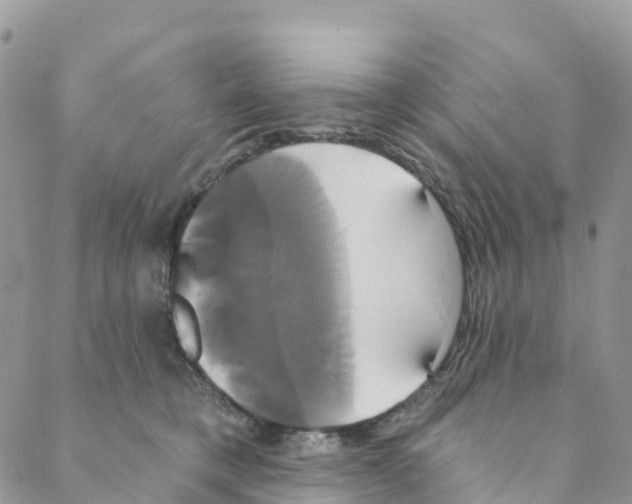 X0000088470421200706121534