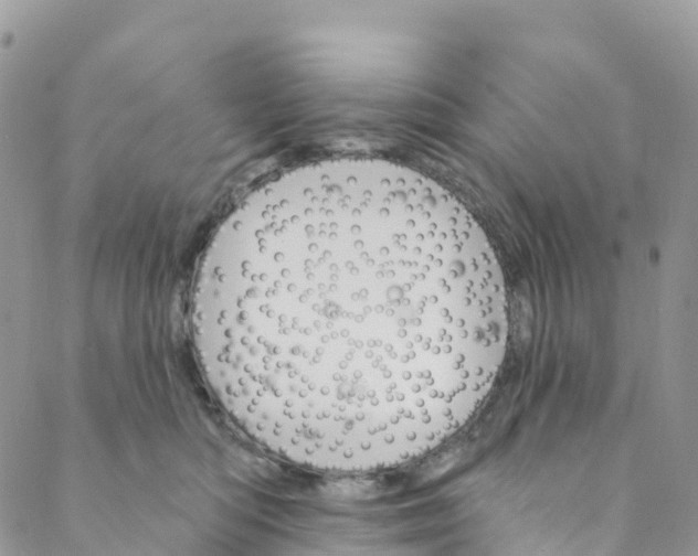 X0000088470422200706121534