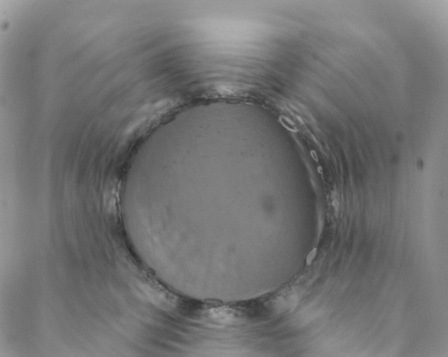 X0000088470423200706121534