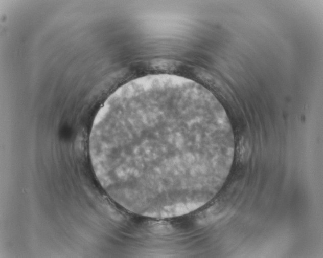 X0000088470424200706121534