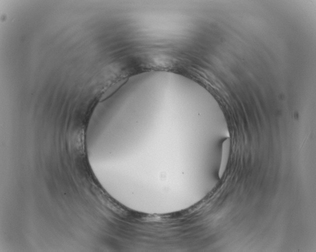 X0000088470425200706121534