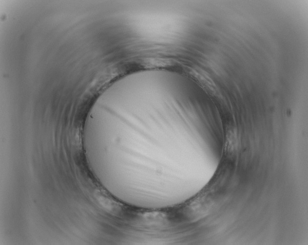 X0000088470426200706121534