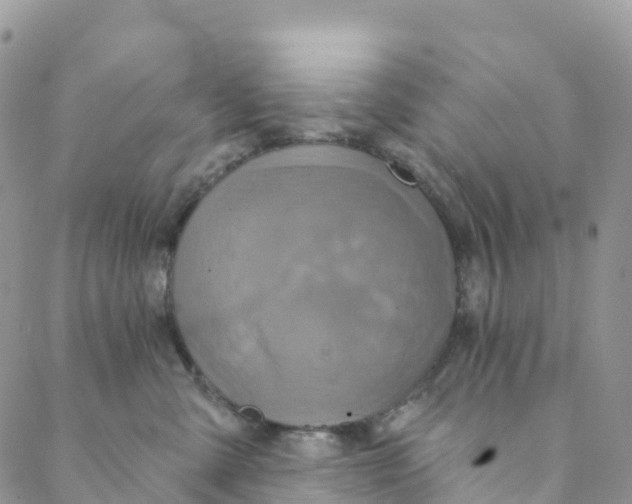 X0000088470427200706121534