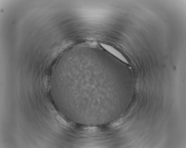 X0000088470428200706121534