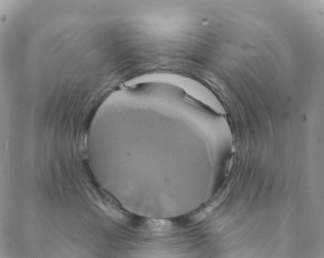 X0000088470429200706121534