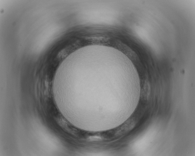 X0000088470430200706121534