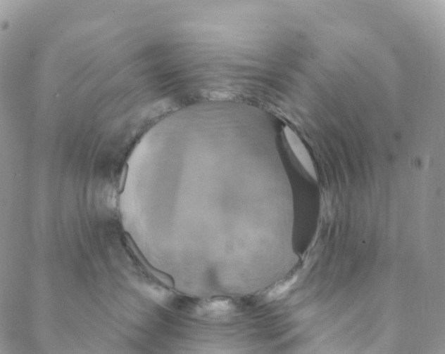 X0000088470431200706121534