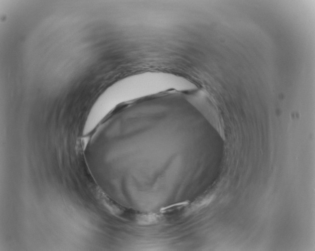 X0000088470432200706121534