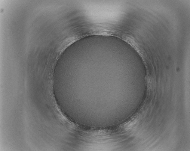 X0000088470433200706121533