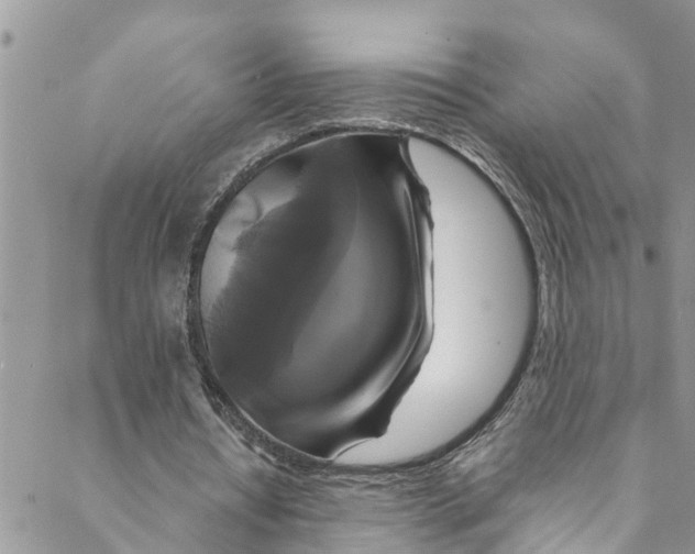 X0000088470434200706121533