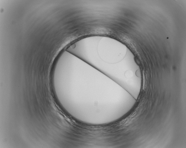 X0000088470435200706121533