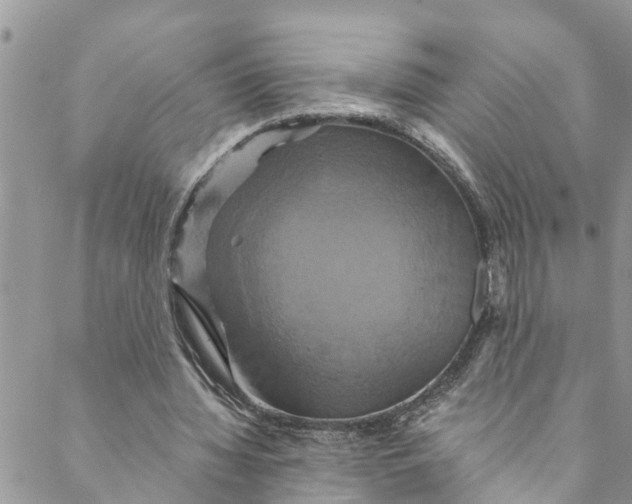 X0000088470436200706121533