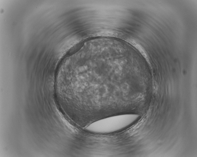 X0000088470437200706121533