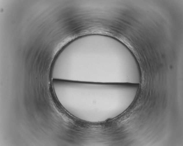 X0000088470438200706121533